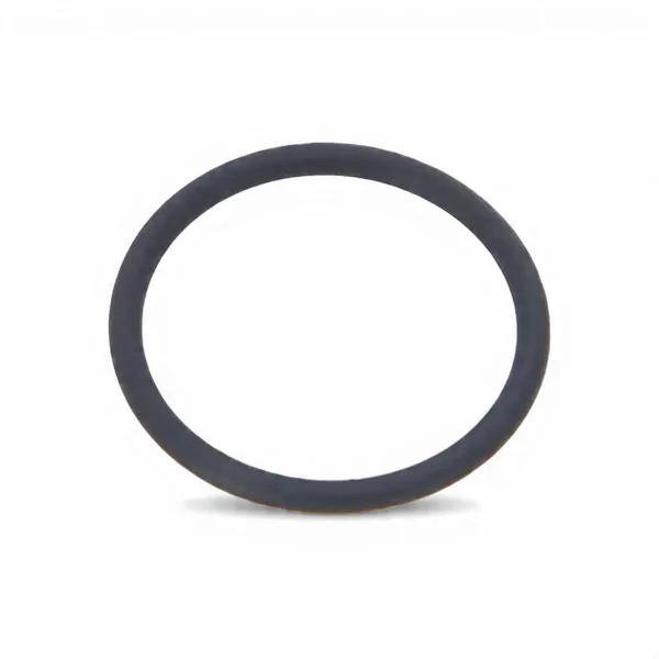 Diferansiyel O-Ring 2121398