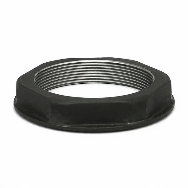 Dingil Somunu 1522384