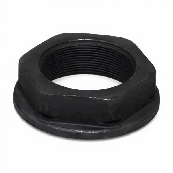Dingil Somunu 1586586